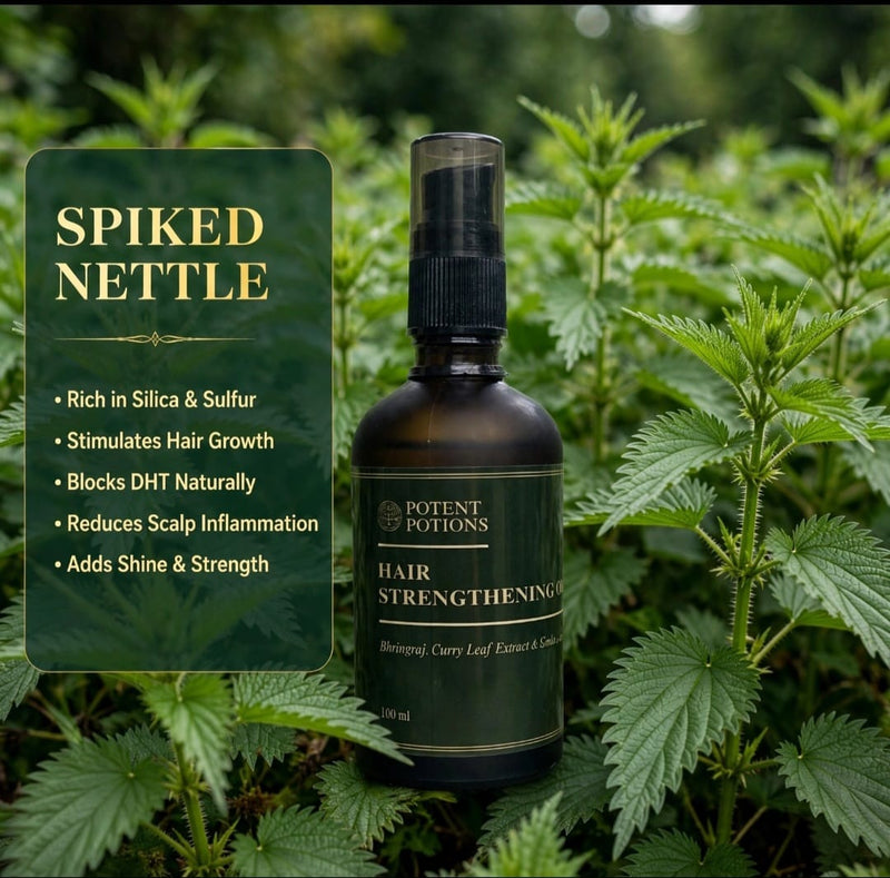 Spiked Nettle