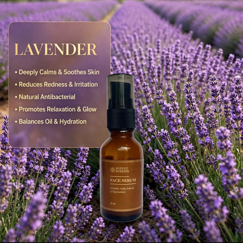 Lavender