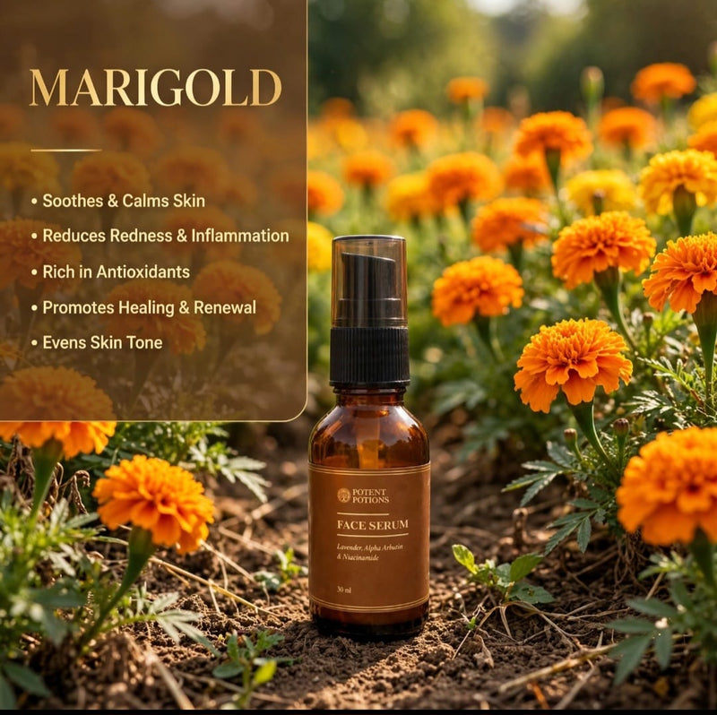 Marigold 
